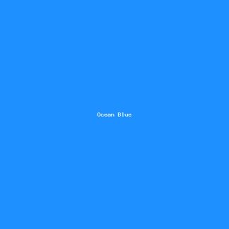 Erkek Parfüm - Ocean Blue 100ml
